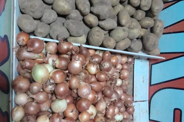 RÜZGAR MARKET - Resim 8