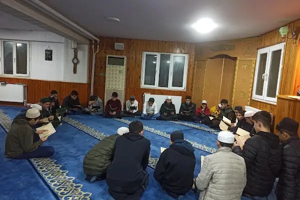 Anadolu Çınarı Derneği - Resim 16