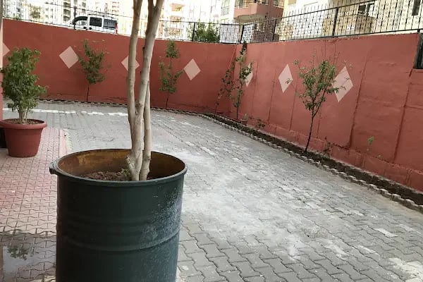 Anadolu Çınarı Derneği - Resim 6