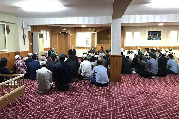 Anadolu Çınarı Derneği - Resim 13