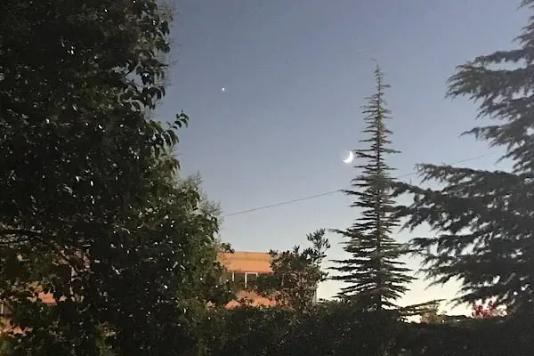 Doğu Kışla Gençlik Parkı - Resim 15