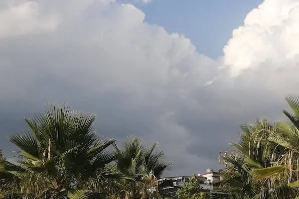 Doğu Kışla Gençlik Parkı - Resim 17