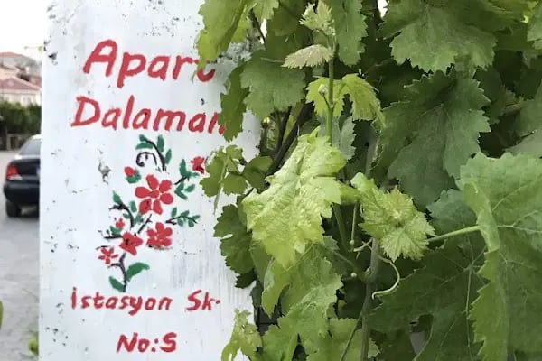 Dalaman Pansiyon - Resim 18