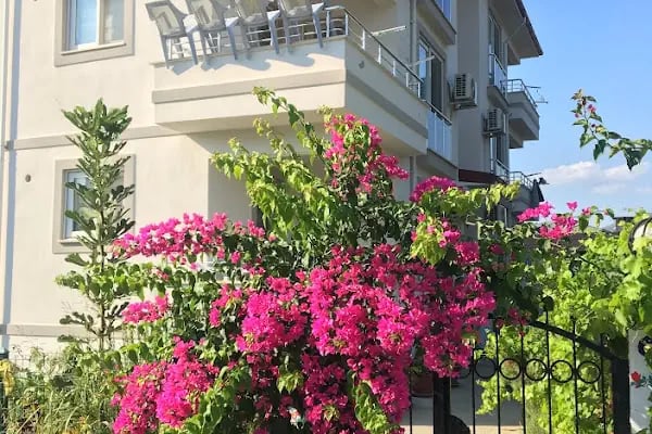 Dalaman Pansiyon - Resim 6