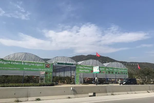 KIRKICI FİDANCILIK Çiç. Pey. Gıd. Tar. Hay. Taş. San. Ve Tic. Ltd. Şti. - Resim 2