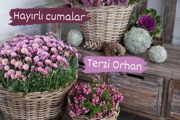 TERZİ ORHAN - Resim 3