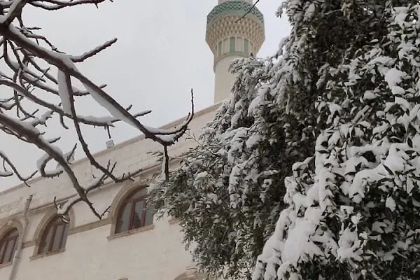 Selimiye Cami - Resim 19