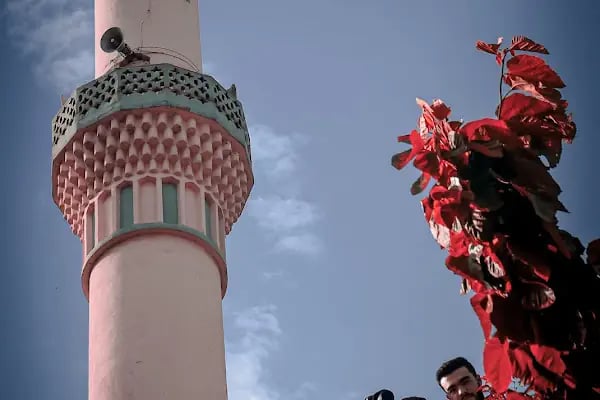 Selimiye Cami - Resim 12