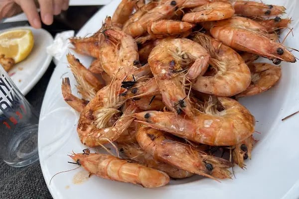 Moya Wine&Dine Bodrum Marina - Resim 15
