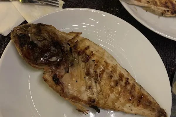 Moya Wine&Dine Bodrum Marina - Resim 8