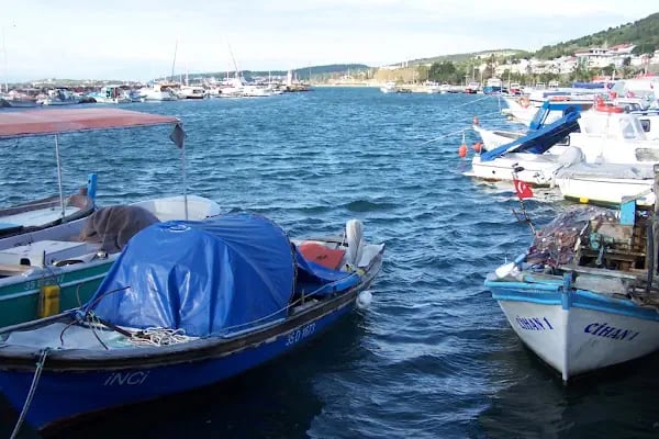 Bahriye Üçok Parkı - Resim 8