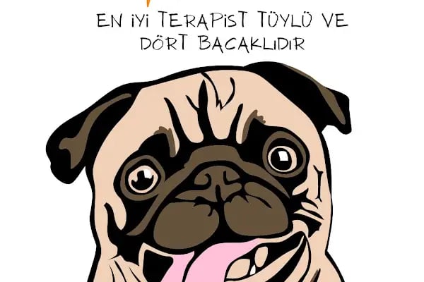 PATİMİSS VETERİNER KLİNİĞİ - Resim 4