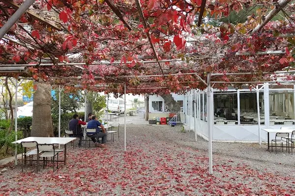Yıldız Mangal Restoran - Resim 3