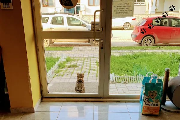 Db Veteriner Kliniği - Resim 10