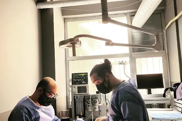 Totem Veteriner Kliniği - Resim 3