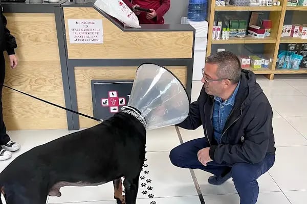 Totem Veteriner Kliniği - Resim 6