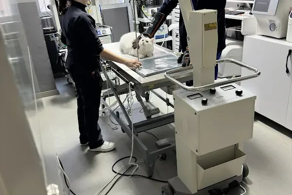 Totem Veteriner Kliniği - Resim 19