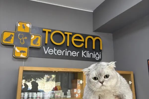 Totem Veteriner Kliniği - Resim 18