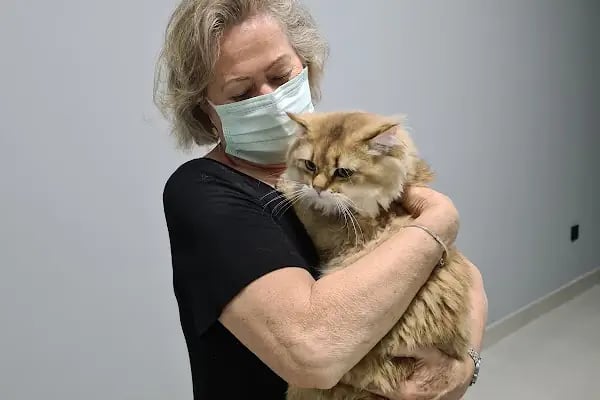 DünyaVet Veteriner Kliniği - Nilüfer, İhsaniye, Esentepe, Karaman - Resim 12