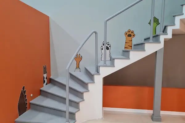 DünyaVet Veteriner Kliniği - Nilüfer, İhsaniye, Esentepe, Karaman - Resim 14