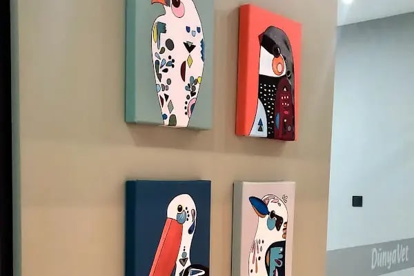 DünyaVet Veteriner Kliniği - Nilüfer, İhsaniye, Esentepe, Karaman - Resim 17