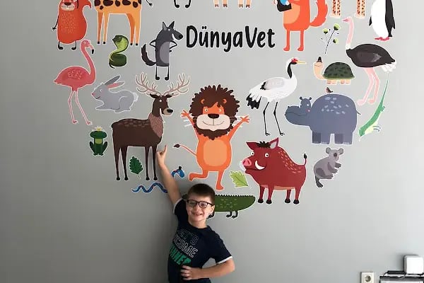 DünyaVet Veteriner Kliniği - Nilüfer, İhsaniye, Esentepe, Karaman - Resim 4