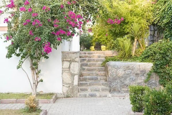 Rose Residence - Resim 7