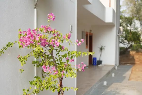 Rose Residence - Resim 8