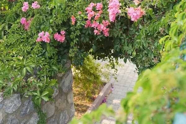 Rose Residence - Resim 17