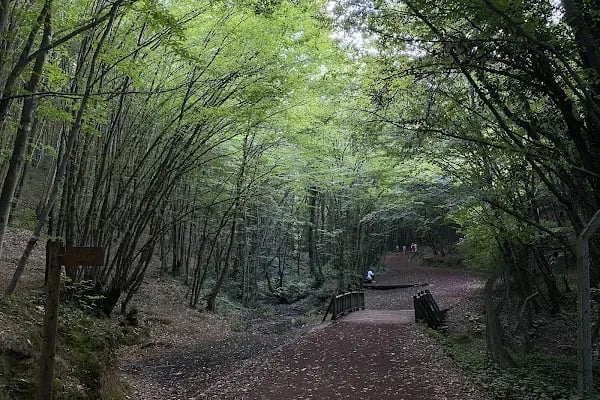 Polonezköy Tabiat Parkı - Resim 11