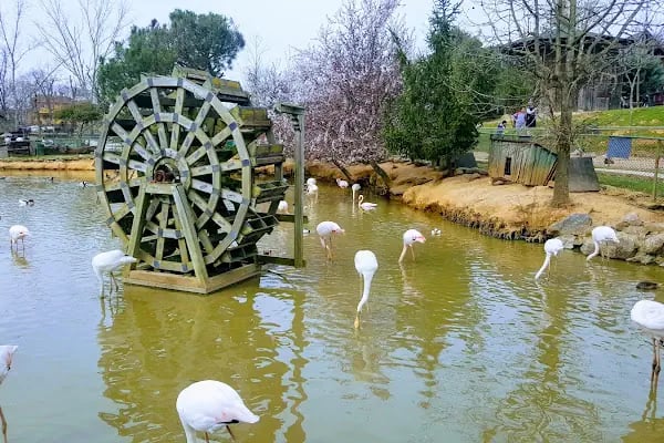 Polonezköy Tabiat Parkı - Resim 1
