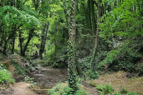 Polonezköy Tabiat Parkı - Resim 12