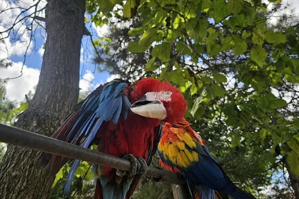 Polonezköy Tabiat Parkı - Resim 17