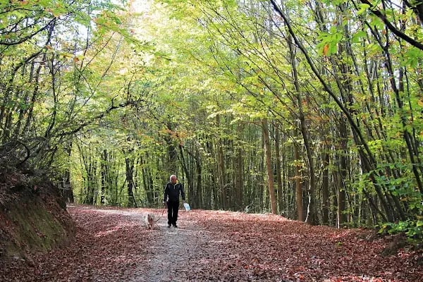 Polonezköy Tabiat Parkı - Resim 2