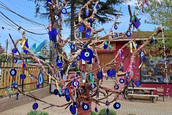 Polonezköy Tabiat Parkı - Resim 20