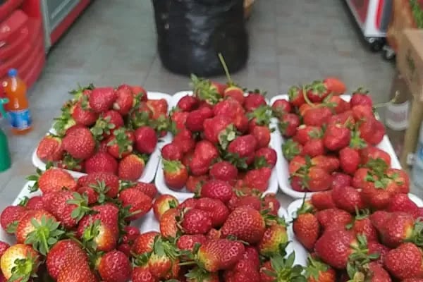 CANSU MARKET - Resim 19