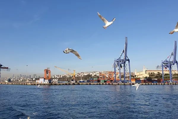 Beşiktaş Adalar İskelesi - Resim 17