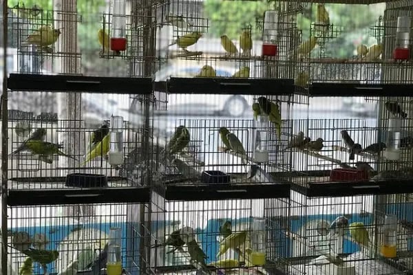 Manyas Petshop - Resim 1