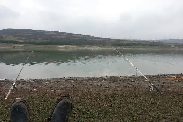 Sazlıbosna Gölü - Resim 3