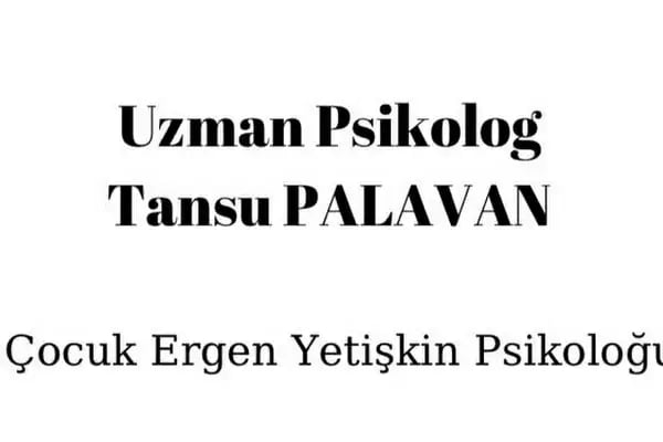 Psikoviv Psikolojik Danışmanlık, Uzm. Klinik Psikolog Tansu PALAVAN - Resim 7