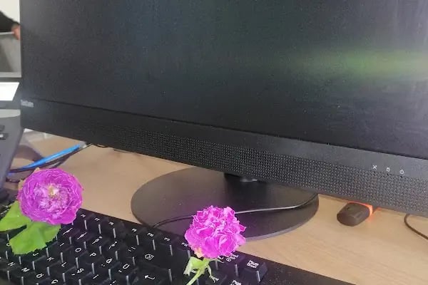 Tapu ve Kadatro 7. Bölge Müdürlüğü - Resim 9
