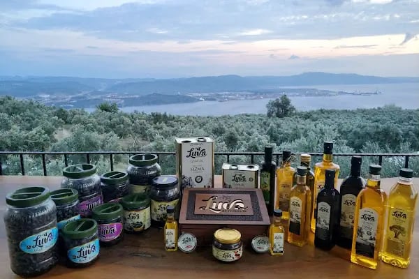 Luva Zeytincilik (Gemlik Zeytin ve Zeytinyağı) - Resim 2
