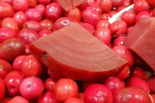 Luva Zeytincilik (Gemlik Zeytin ve Zeytinyağı) - Resim 15