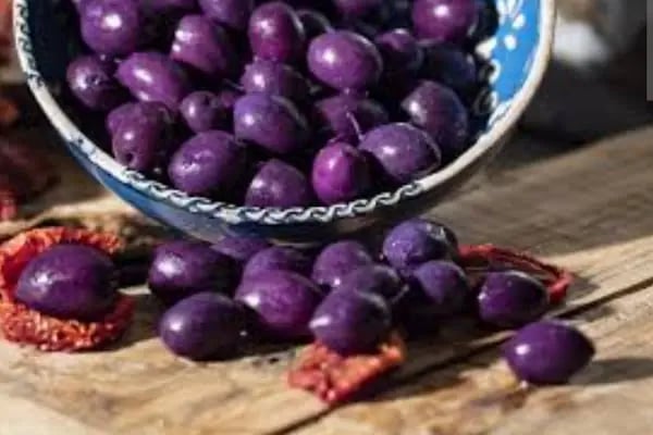 Luva Zeytincilik (Gemlik Zeytin ve Zeytinyağı) - Resim 8