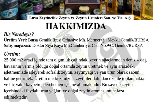 Luva Zeytincilik (Gemlik Zeytin ve Zeytinyağı) - Resim 20