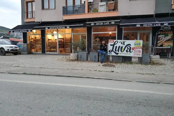 Luva Zeytincilik (Gemlik Zeytin ve Zeytinyağı) - Resim 1