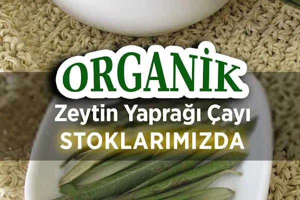 Luva Zeytincilik (Gemlik Zeytin ve Zeytinyağı) - Resim 17