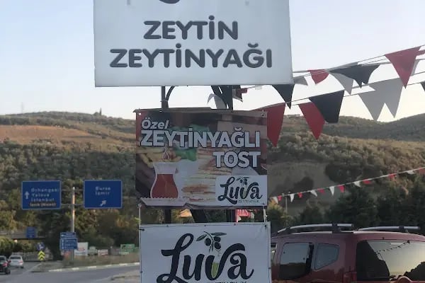 Luva Zeytincilik (Gemlik Zeytin ve Zeytinyağı) - Resim 4