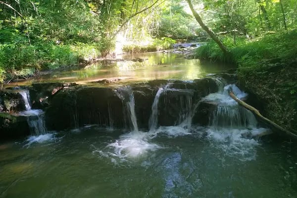 Çifte Kaynaklar Piknik ve Kamp Alanı - Resim 12