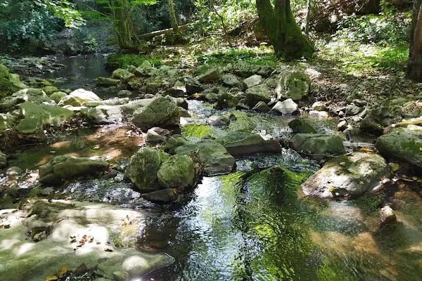 Çifte Kaynaklar Piknik ve Kamp Alanı - Resim 3